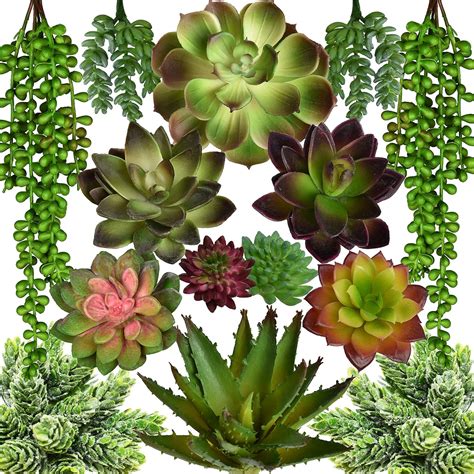 faux succulents amazon|high quality faux succulents.